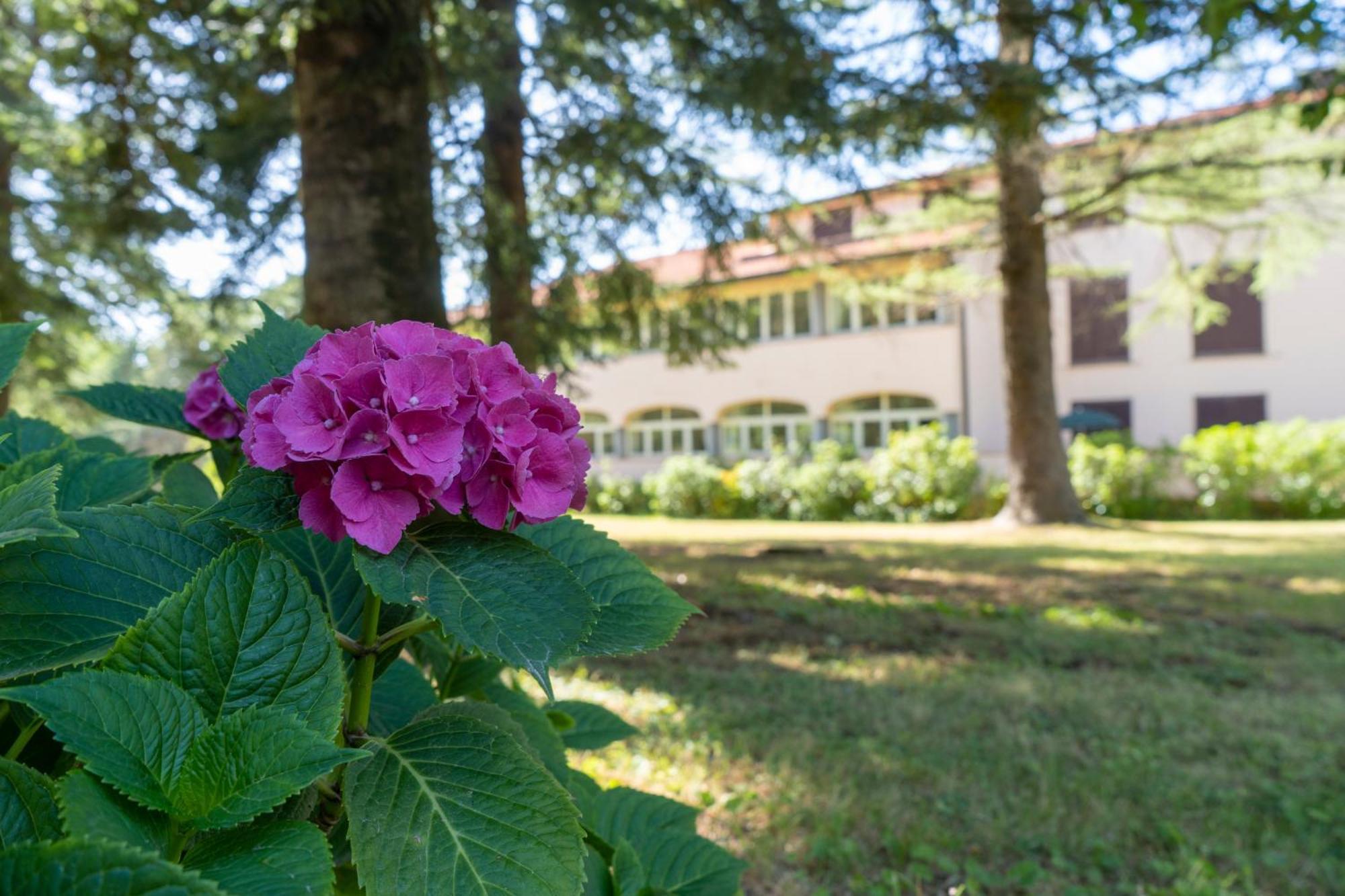 Toscana Wellness Resort Arcidosso Eksteriør bilde